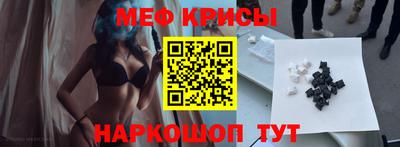 спайс Кингисепп